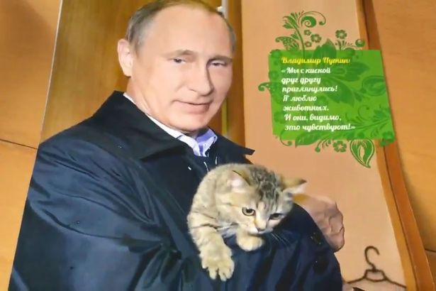 Putin, catarat in copac si cu mana pe pisica. In ce ipostaze a mai aparut liderul la Kremlin in calendarul oficial pe 2017