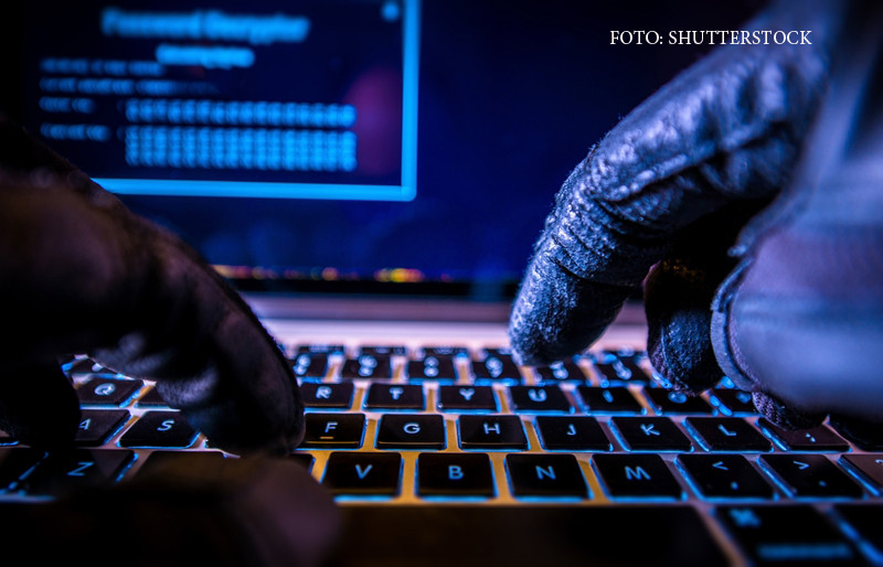 iLikeIT. Oricine poate ajunge sa fie victima in razboaiele hackerilor. "Veriga slaba e omul dintre scaun si monitor"