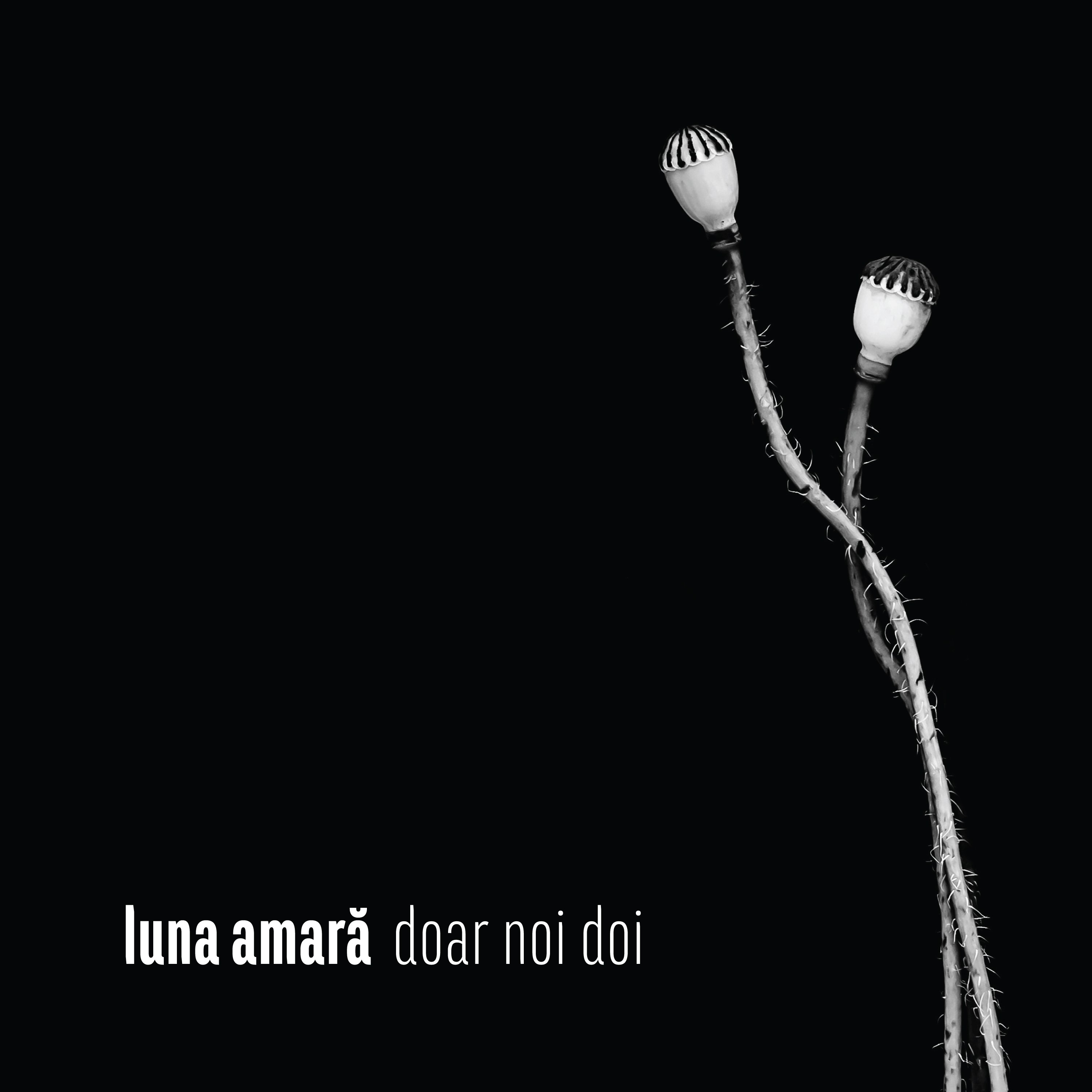 Luna Amara