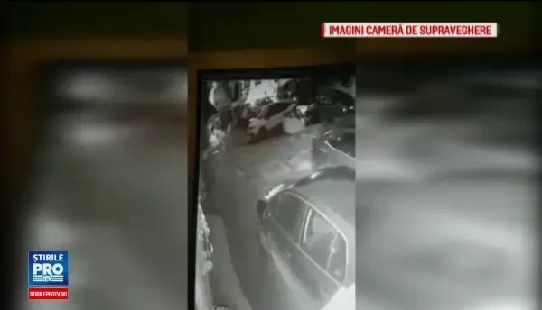 Noi imagini cu ursul impuscat la Sibiu: trecatorii fug si se adapostesc in cladiri. Concluziile raportului MAI