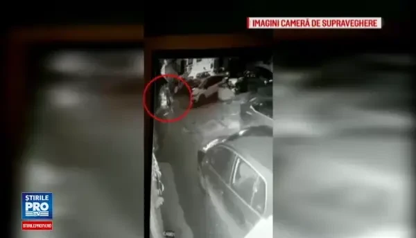 Noi imagini cu ursul impuscat in Sibiu: trecatorii fug si se adapostesc in cladiri. Concluziile raportului MAI