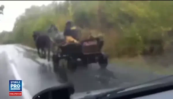 Un barbat din Iasi a tarat, legat de caruta, un caine de care voia sa scape. Imaginile socante suprinse de un sofer