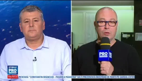 Verdict final amanat in dosarul Oanei Niculescu Mizil. Ce pedeapsa a contestat fosta deputata