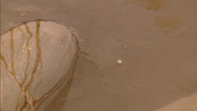 Muncitorii au distrus un bloc din Capitala pe care erau platiti sa-l reabiliteze. Cum au reactionat cand au vazut reporterii