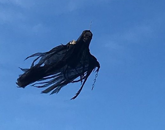 Gluma sinistra a unui american. Unii vecini au fost la un pas sa faca infarct cand au vazut pe cer "creatura". FOTO