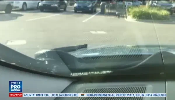 Surpriza de care a avut parte un sofer din Florida. Un sarpe de 2 metri a aparut pe parbriz in timp ce barbatul era in trafic