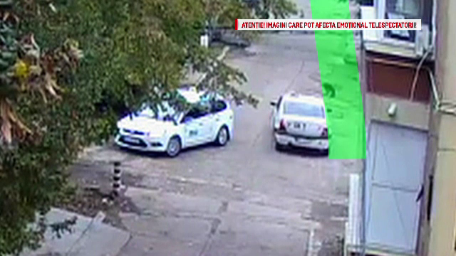 Catelusa, calcata in mod intentionat cu masina de un taximetrist galatean. Tot in Galati, un caine a fost ucis cu securea