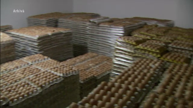 Pericol de imbolnavire in judetul Covasna. 10.000 de oua, infestate cu salmonela, au fost retrase de pe piata