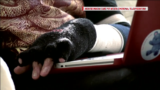 un an Colectiv, Pavlos Popovici