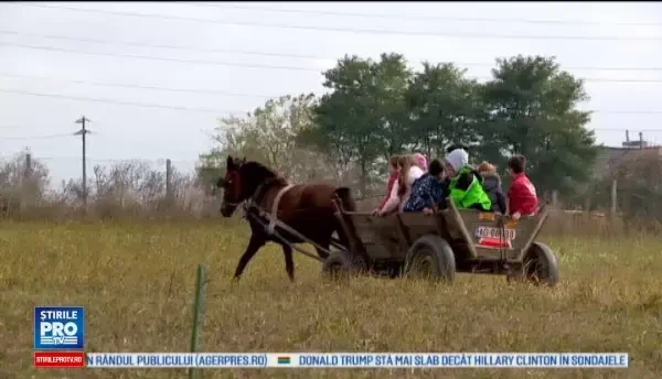 Initiativa pornita pe Facebook care a strans sute de oameni la o ferma din Ciocarlia. Cum au petrecut o zi ca la tara