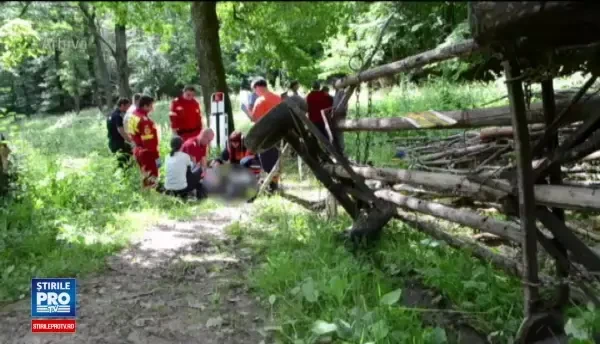 Sfarsit cumplit pentru o femeie din Dambovita. A murit lovita de creanga unui copac, in timp ce taia lemne in padure