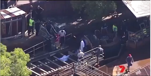 Tragedie in parcul de distractii Dreamworld. Patru persoane au murit in timp ce se aflau intr-un rollercoaster. VIDEO