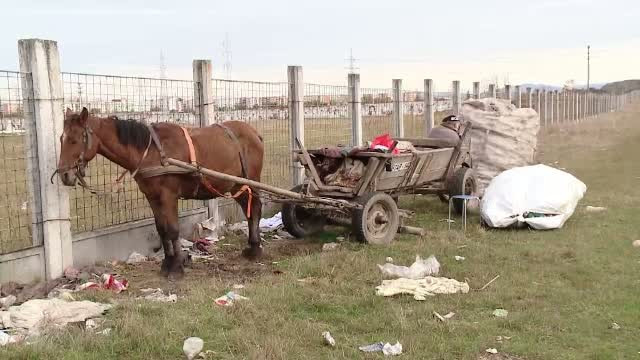 Cum a ajuns gunoiul o marfa foarte pretioasa pentru hoti. Razia organizata de autoritatile din Brasov