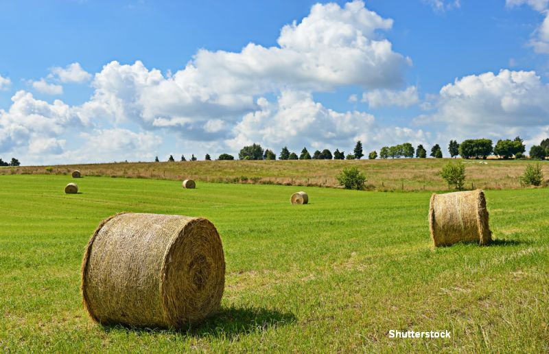 De ce refuza Valonia sa semneze acordul care ne-ar scapa de vizele pentru Canada. Premier: "Nu putem fi fortati sa cedam"