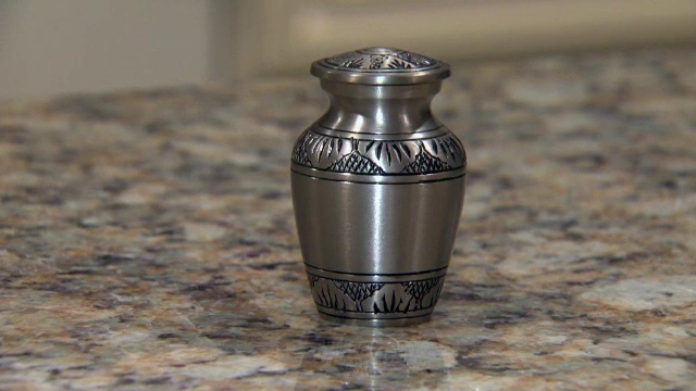 Vaticanul, apel in privinta incinerarilor. Ce mesaj a transmis Papa Francisc legat de pastrarea urnelor cu cenusa