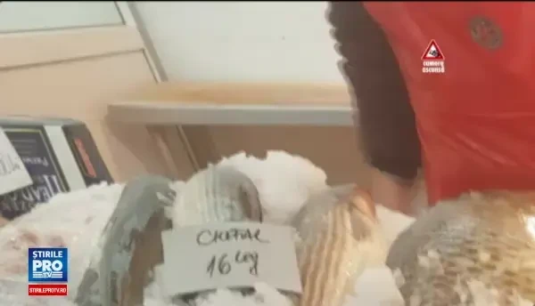 Imagini filmate cu CAMERA ASCUNSA intr-o piata de peşte din Capitala: Nu stiu ce termen de valabilitate are. Sefa stie