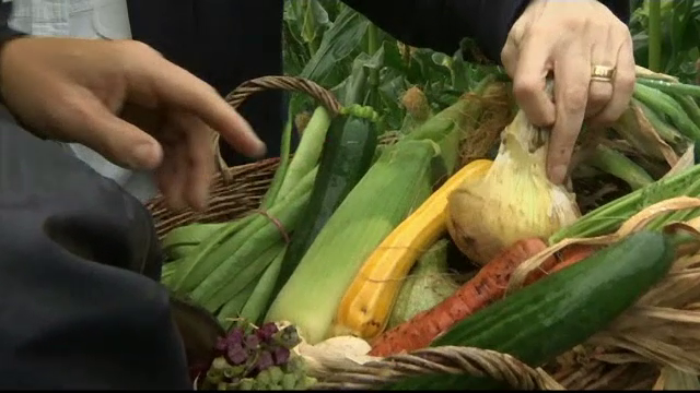 Au aparut fermele subterane, in foste adaposturi anti-aeriene. Cum arata legumele folosite la restaurante cu stele Michelin
