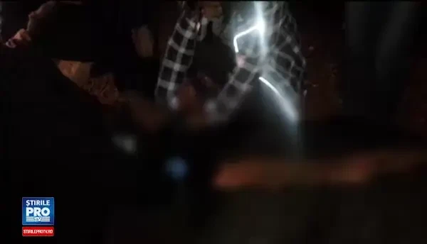 Scene infioratoare in Brasov. Lovit de o masina, un cal a agonizat ore in sir pana a fost vazut de cativa localnici