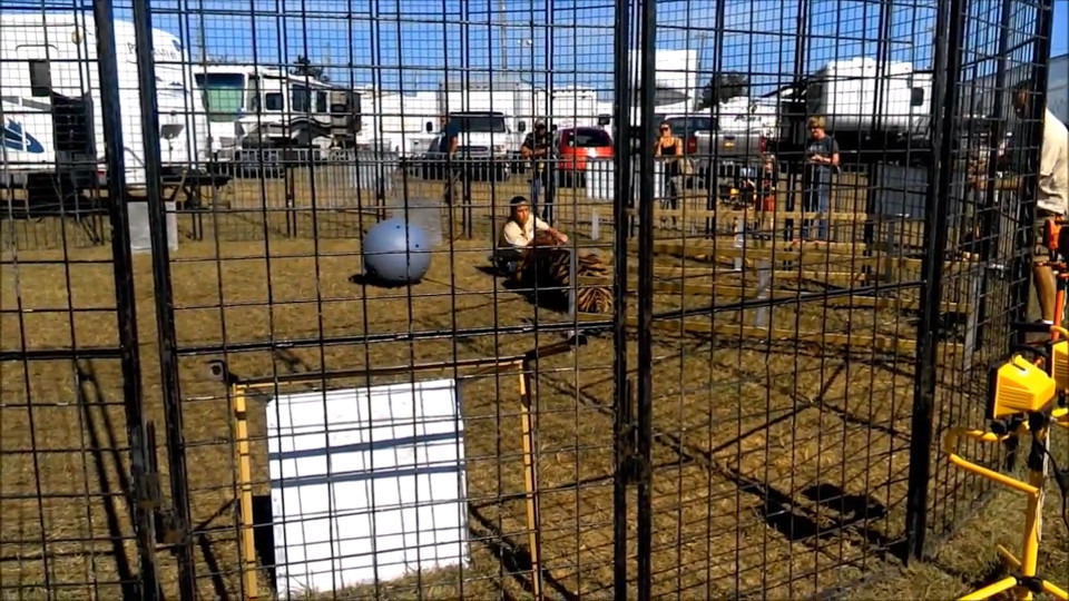 Momentul in care un ingrijitor este trantit la pamant si atacat de un tigru. Cum a reusit sa scape cu viata. VIDEO