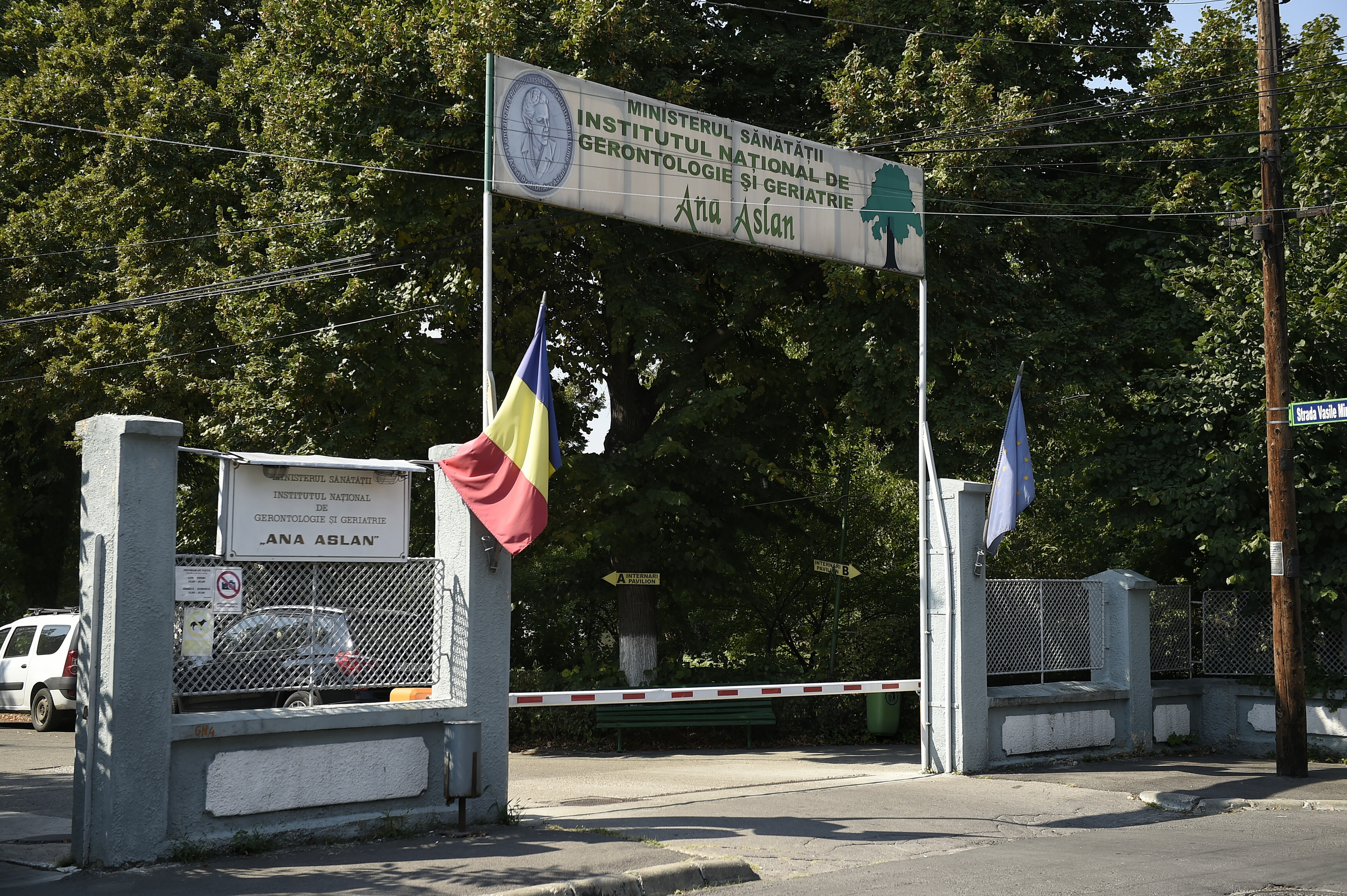 Posibile fraude cu reactivi si medicamente Gerovital la Institutul "Ana Aslan". Ministerul Sanatatii a sesizat parchetul