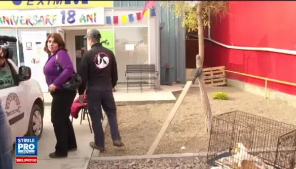 O catelusa de doi ani, taiata cu o sabie in zona coapsei, salvata de la moarte in Braila. NU mai are sanse sa mearga