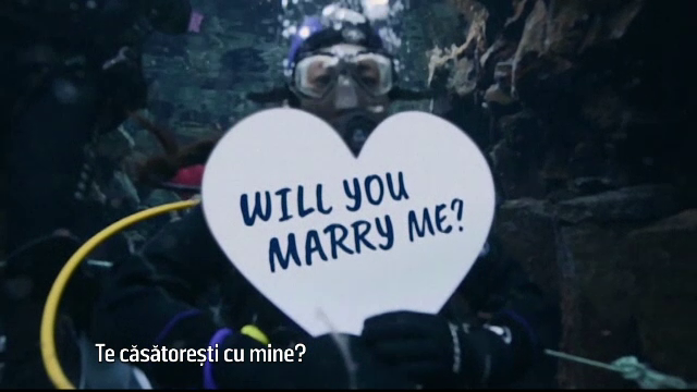 O tanara din Statele Unite a hotarat sa isi ceara ea iubitul in casatorie. Reactia barbatului la momentul de poveste