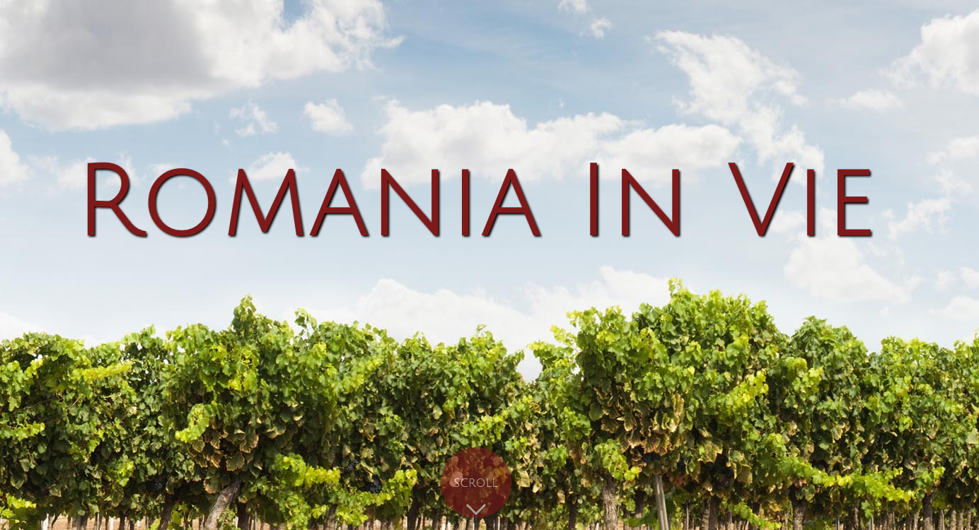 REPORTAJ MULTIMEDIA. Harta viticola a Romaniei. Cine sunt oamenii care vor sa schimbe imaginea vinului romanesc