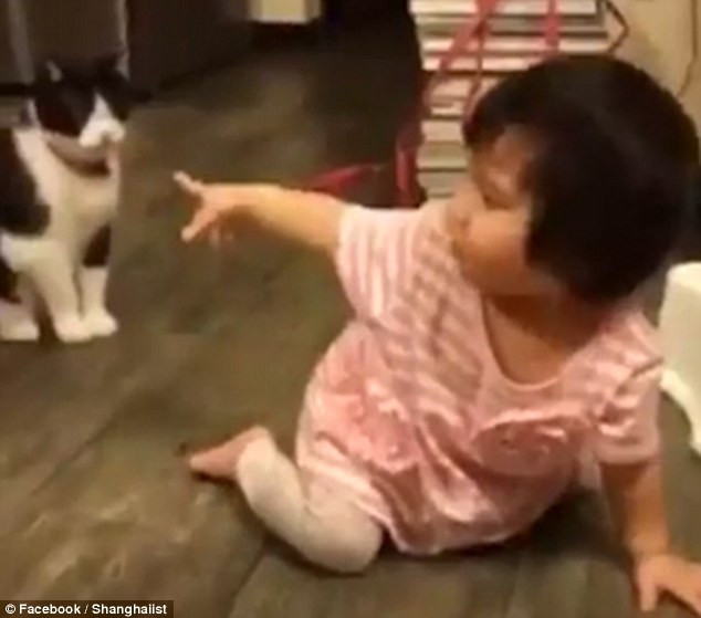 O pisica ii pune piedica unei fetite. Clipul care a facut 2 milioane de oameni sa rada. VIDEO