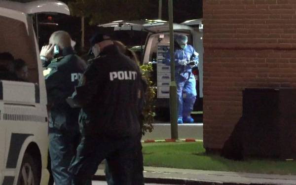 Corpurile a trei sirience, descoperite intr-un congelator, intr-un apartament din Danemarca. Pe cine cauta politia
