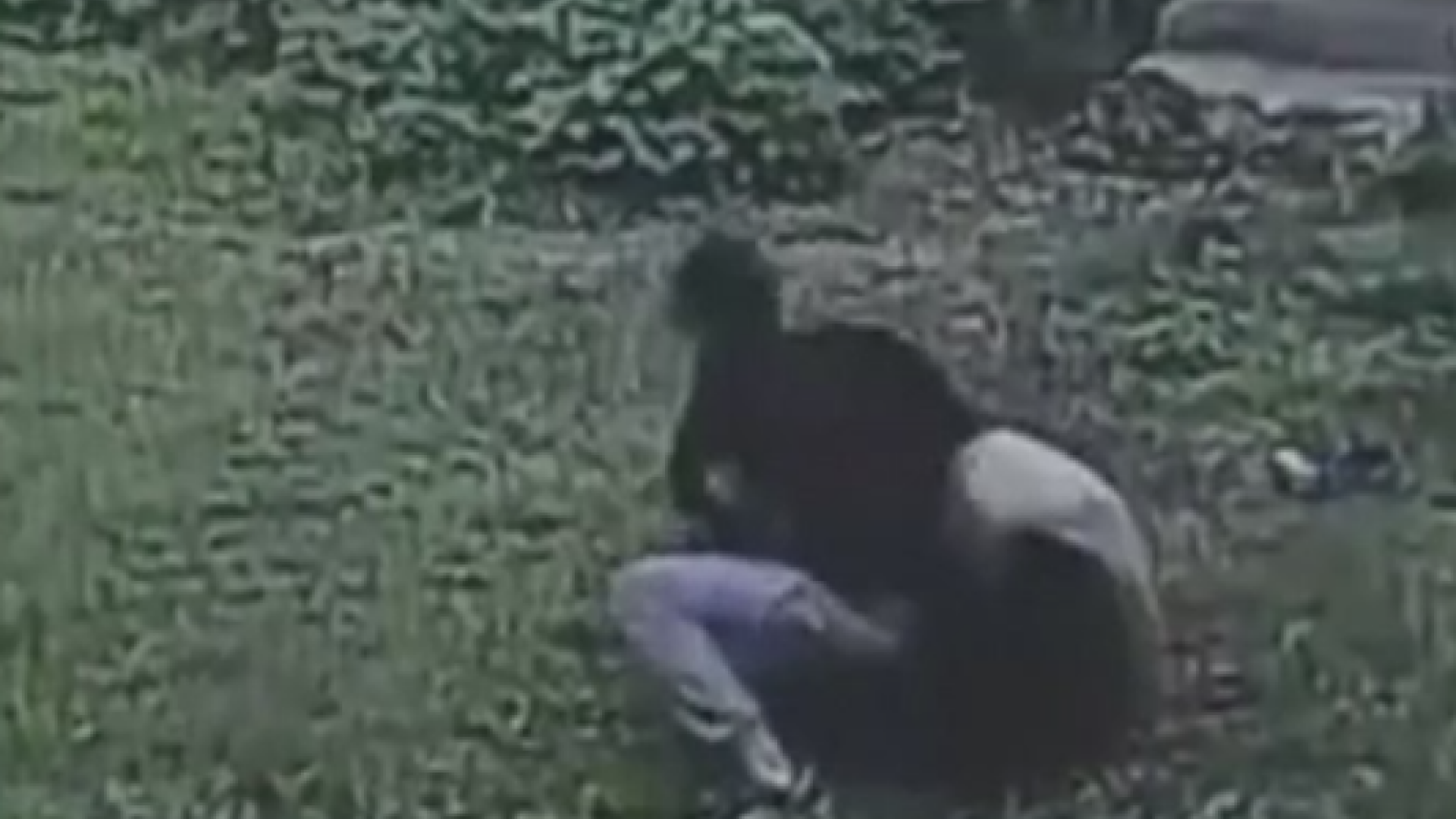 Un barbat a sarit in cusca unui panda urias, pentru a impresiona doua femei, dar a avut parte de o surpriza neplacuta