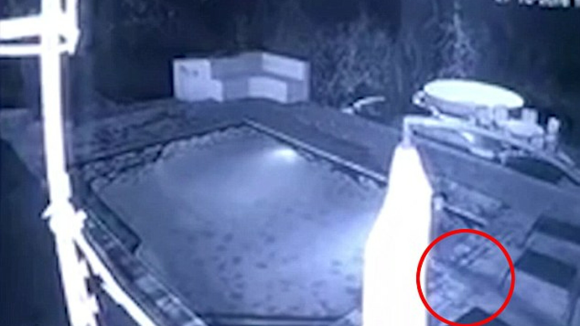 O seara relaxanta la piscina s-a transformat intr-un cosmar pentru doi indragostiti. Ce s-a intamplat. VIDEO