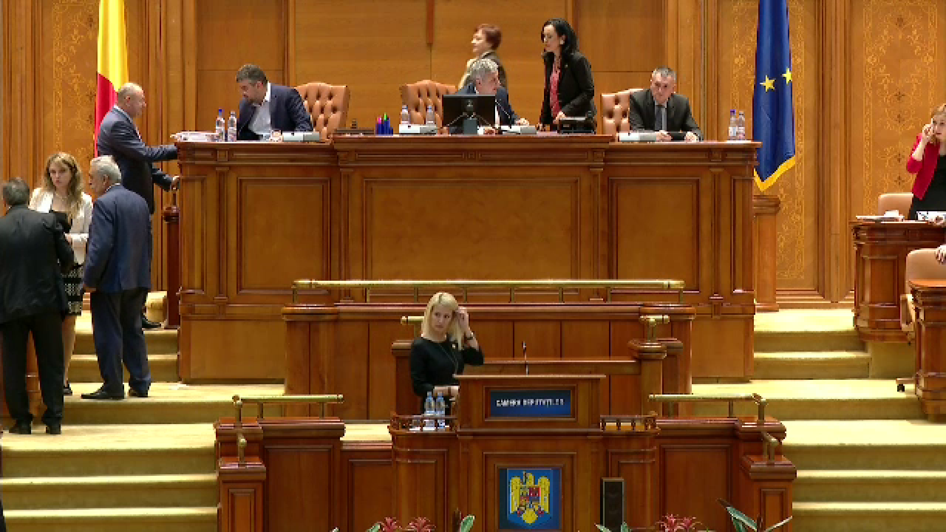 Efectele "pomenilor" votate pe banda de parlamentarii PSD, inaintea campaniei electorale. Rovana Plumb: Acum a venit momentul