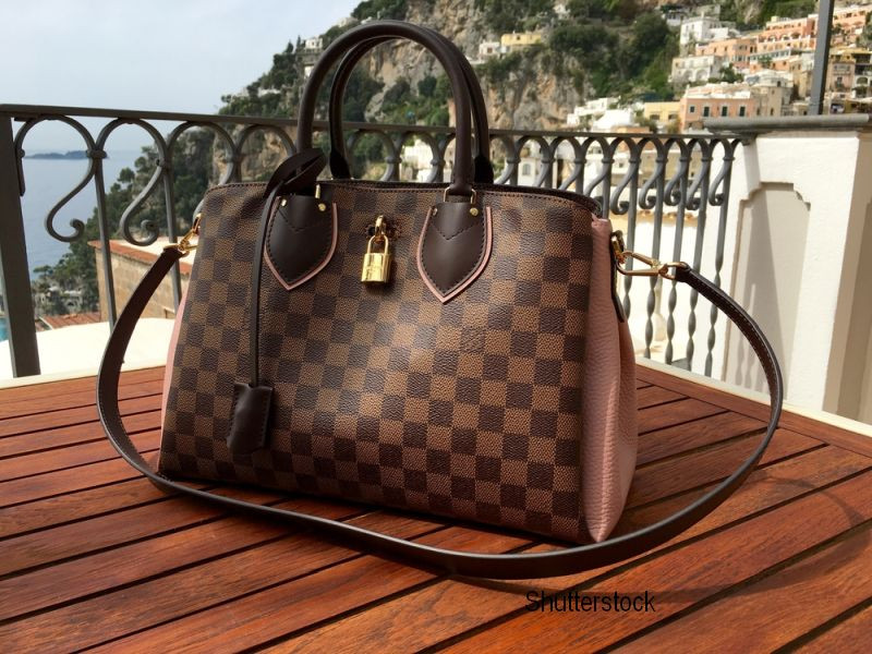 Fiul ei a vomat pe o geanta Louis Vuitton, iar femeii i s-au cerut despagubiri exagerate. Ce suma a cerut proprietara