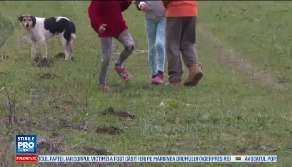 Copil din Bistrita Nasaud, lovit cu copita de un cal. Baiatul, impreuna cu alti copii, au fugarit, in joaca, animalul