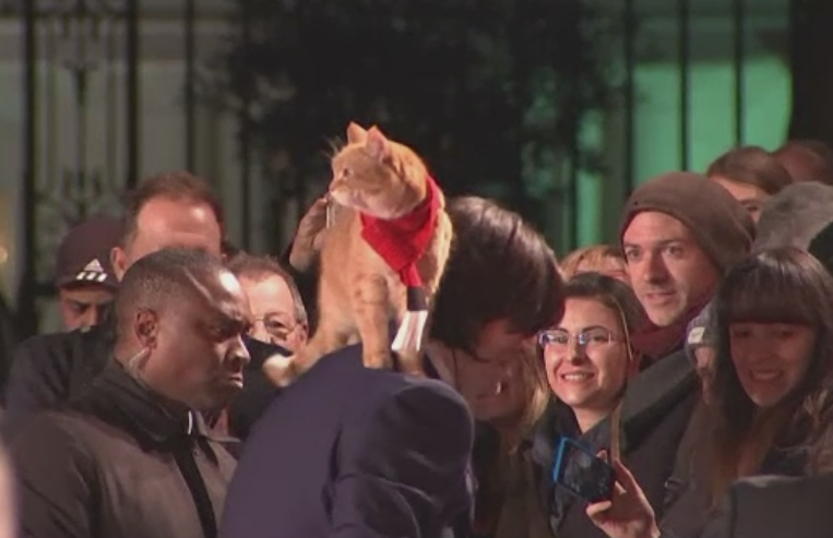 "A Streetcat Named Bob", un film despre prietenia speciala dintre un londonez si motanul sau. Ducesa Kate, la premiera