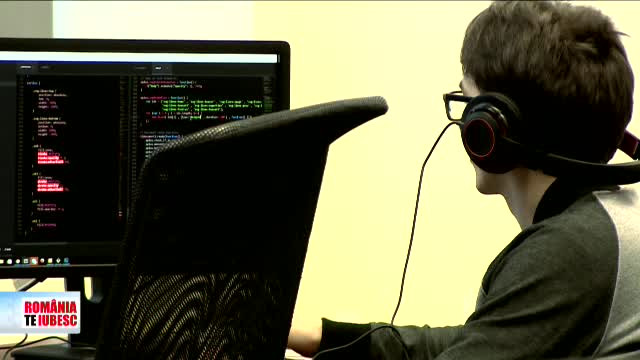 programatorii de succes