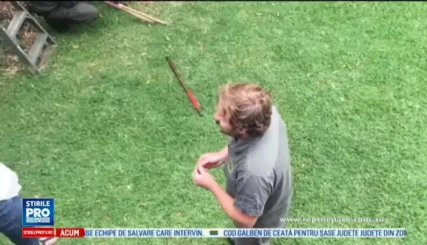 Cerere in casatorie periculoasa in Australia. Ce animal salbatic se afla in spatele barbatului cand a ingenunchiat