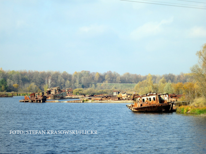 De ce e mai bine sa nu mancati niciodata peste importat din Ucraina. "Nimeni nu stie ce se intampla la Cernobil"