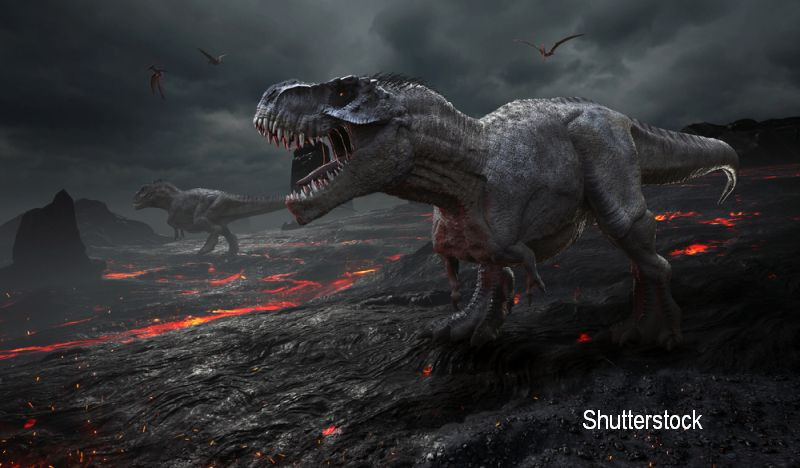 Fosila unei specii de dinozaur necunoscuta pana acum, la un pas de a fi dinamitata in China, dupa 72 de milioane de ani