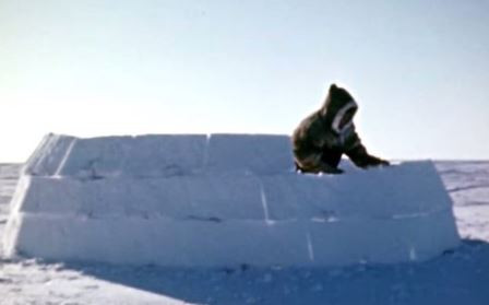 Canadienii ameninta ca vor ridica propriul zid pentru a nu fi invadati de americani: cum l-au ironizat pe Donald Trump