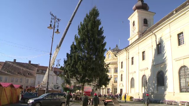 Piata Mare din Sibiu are de vineri un brad de Craciun inalt de 22 de metri. Ce se va intampla cu el dupa sarbatori