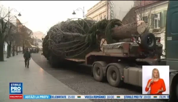 Piata mare din Sibiu are de vineri un brad de Craciun inalt de 22 de metri. Ce se va intampla cu el dupa sarbatori
