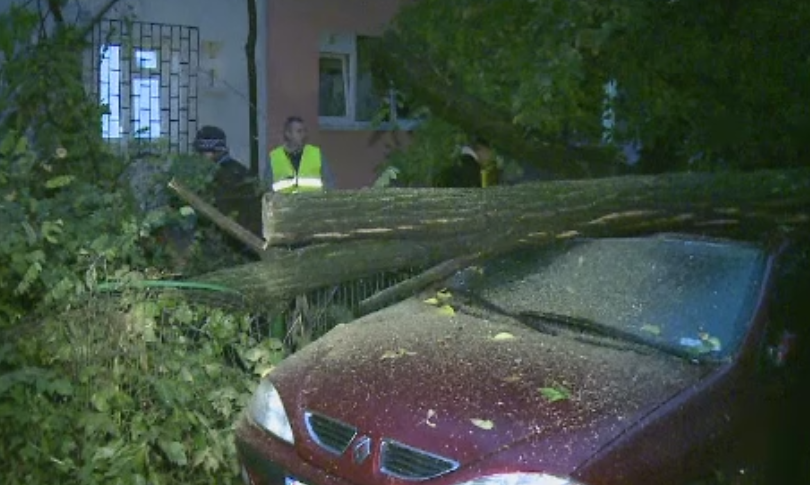 Zeci de copaci si panouri la pamant, in urma furtunii din Bucuresti. Fatadele unor blocuri au fost smulse de vant. VIDEO