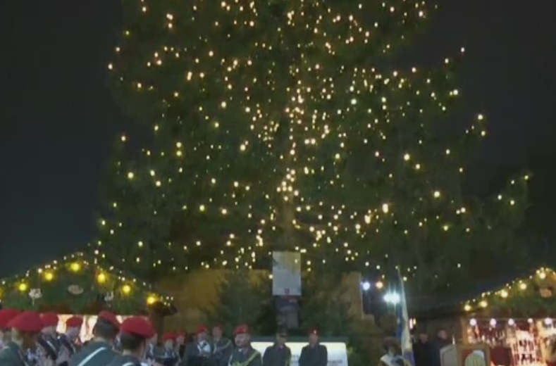 Au fost aprinse luminile in bradul de Craciun din fata Primariei Vienei. Pomul cantareste 7 tone