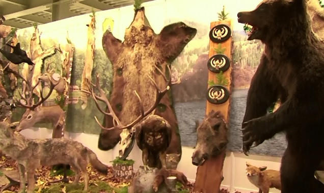 Targul anual de vanatoare si pescuit a strans sute de curiosi. Strainii s-au declarat incantati de bucatele vanatoresti