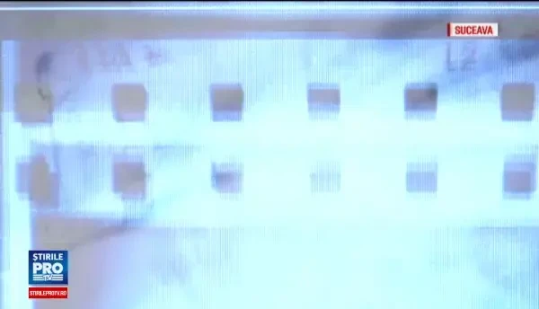 La mijlocul lui noiembrie anotimpul s-a schimbat de pe o zi pe alta. de pe o zi pe alta. Iarna s-a instalat cu brutalitate