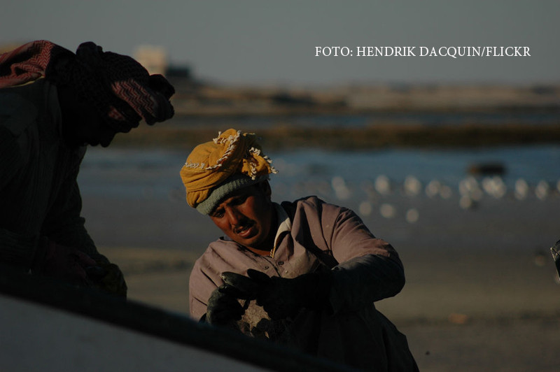 Captura dezgustatoare care va transforma trei pescari saraci in milionari. "Miroase neplacut, dar trece in cateva zile"
