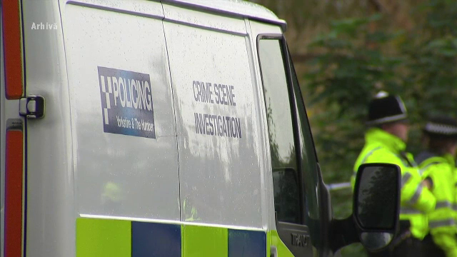 Faptele cumplite de care este acuzat un roman, angajat ca bona in UK. Ce a povestit copilul de 5 ani i-a ingrozit pe parinti