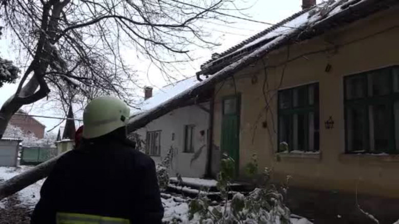 Un brad de 15 metri s-a prabusit peste o casa din Targu Mures. Cum au rezolvat pompierii problema