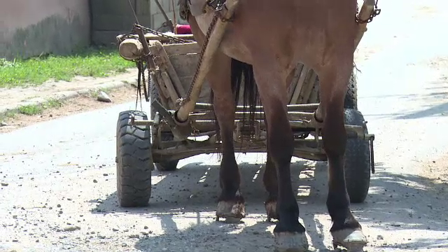 Bătrână lovită de o căruţă, pe o stradă din Mamaia. Căruţaşul a fugit